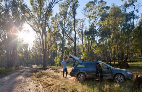 Forest Drive, Murrumbidgee Valley National Park - Accommodation Perth 0