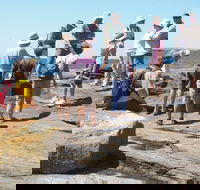 Gondwana Coast Fossil Walk - Accommodation Perth