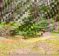 Goodenia Rainforest picnic area - Accommodation Perth