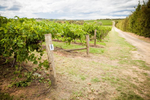 Grove Estate Wines - Accommodation Perth 0