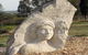 Heritage Sculptures At Pensioners Hill Lookout - thumb 0