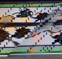 Kangaroo Valley Leadlights - Accommodation Perth