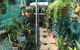 Kilcoy Craft Market - thumb 1