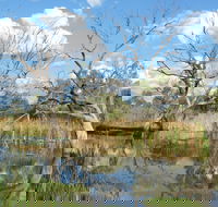 Lagoon Creek - Accommodation Perth