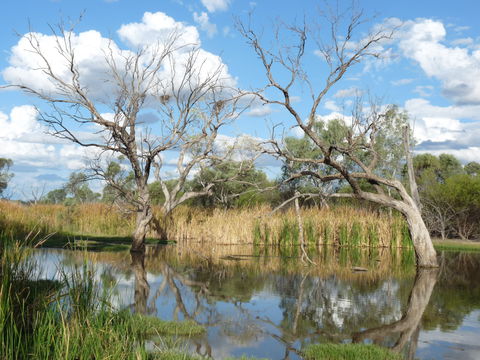 Lagoon Creek - Accommodation Perth 0
