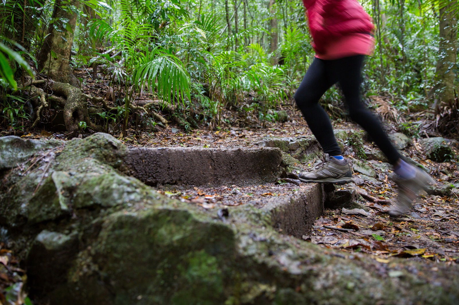 Mount Glorious QLD Perth Resorts