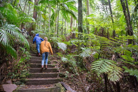 Maiala - Perth Resorts 1