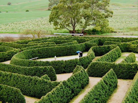 Mintaro Maze - Accommodation Perth 1