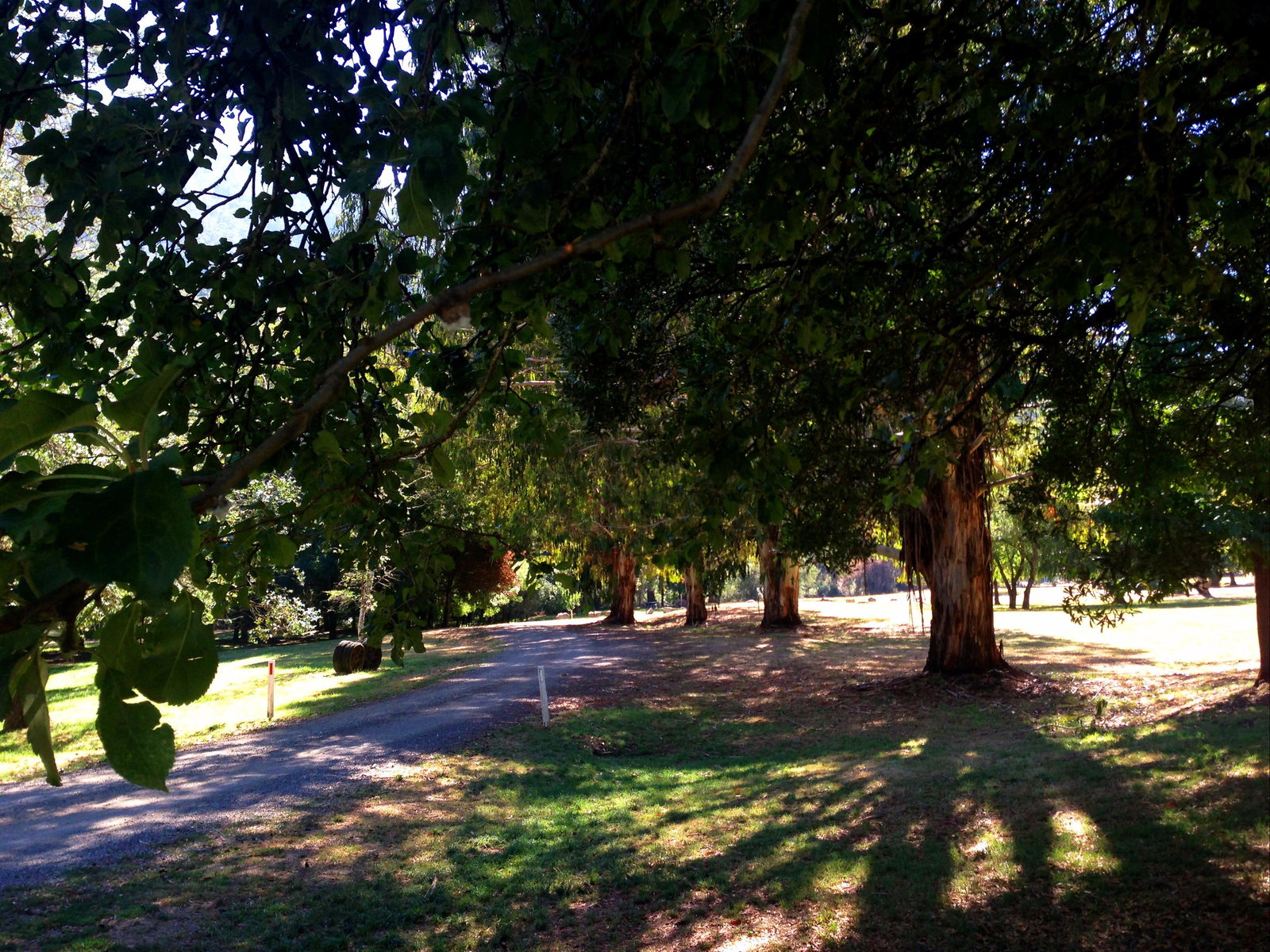 Mirimbah VIC Perth Resorts