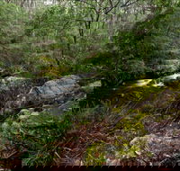 Mongarlowe River picnic area - Accommodation Perth
