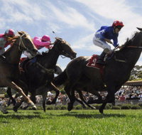 Moruya Racecourse - Accommodation Perth