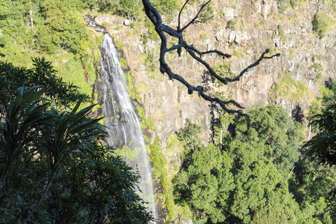 Morans Falls Track, Lamington National Park - Accommodation Perth 0