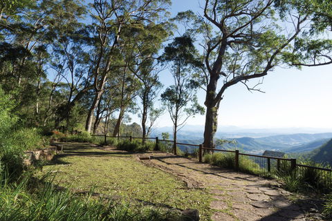 Morans Falls Track, Lamington National Park - Accommodation Perth 1