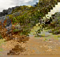 Mountain Biking Trails - Accommodation Perth