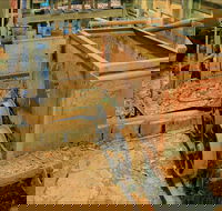 Mountain Maid gold mine - Accommodation Perth