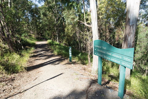 Mt Coot-tha Tourist Drive - Accommodation Perth 0