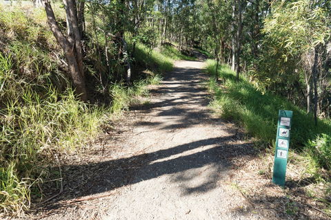 Mt Coot-tha Tourist Drive - Accommodation Perth 2
