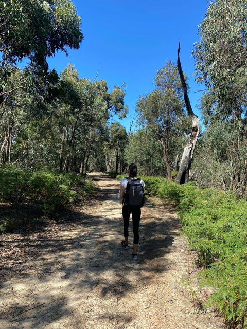Mt Everard Circuit - Accommodation Perth 0