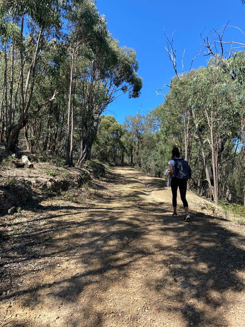 Mt Everard Circuit - Accommodation Perth 2