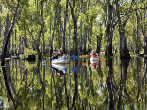Murray River Canoe Trails - Accommodation Perth 0