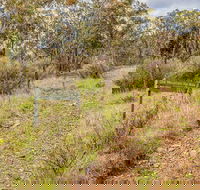 Old Mountain Road Walking Track - Accommodation Perth