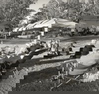 Pioneer Park - Accommodation Perth