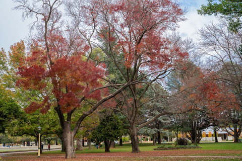 Queanbeyan Central Park - Accommodation Perth 1