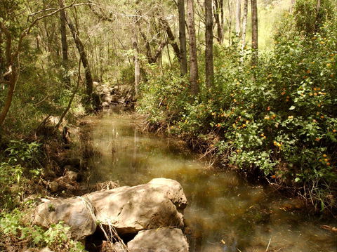 Sandy Creek Track - Perth Resorts 0