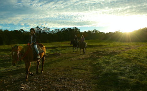 Scenic NSW Horse Riding Centre - Accommodation Perth 0