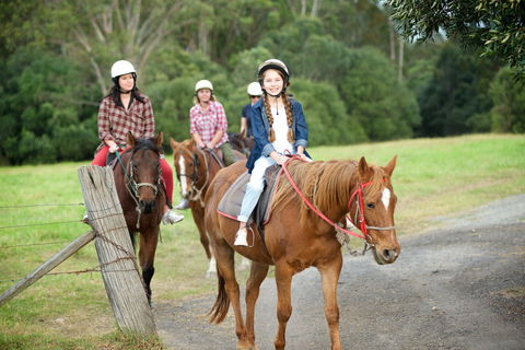 Scenic NSW Horse Riding Centre - Accommodation Perth 2
