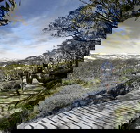 Snow Gums boardwalk - Perth Resorts