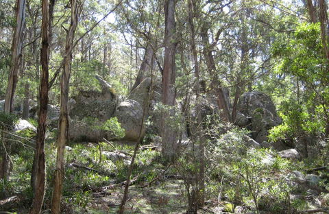 Tallaganda National Park - Accommodation Perth 0