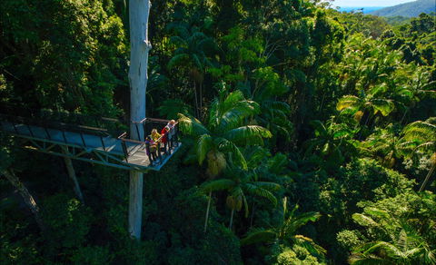 Tamborine Rainforest Skywalk - Accommodation Perth 0