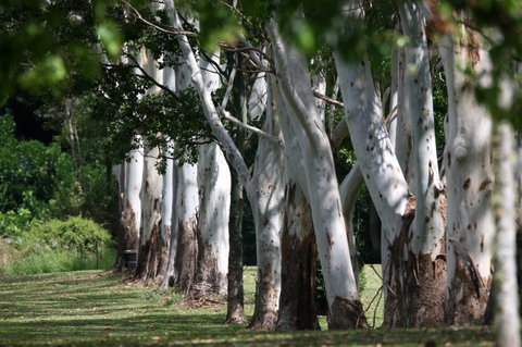 Teven Valley Golf Course - Accommodation Perth 1