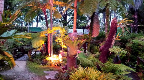 The Fernery At Diamond Waters - Accommodation Perth 0