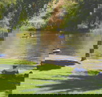 The Lions Junction Park - Tumut - Accommodation Perth
