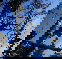 Trees Adventure Nowra Park - Accommodation Perth