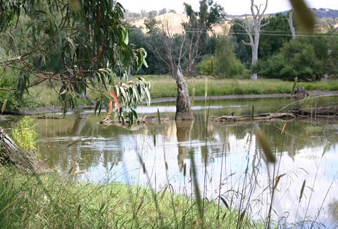 Tumut Wetlands - Accommodation Perth 0