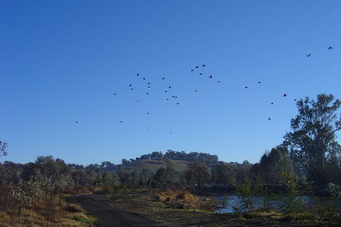 Tumut Wetlands - Accommodation Perth 1