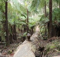 Upper Yarra Reservoir Park - Perth Resorts