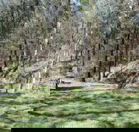 Wallaby Walking Track - Accommodation Perth