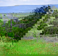 Wild Dog Barrier Fence - Accommodation Perth