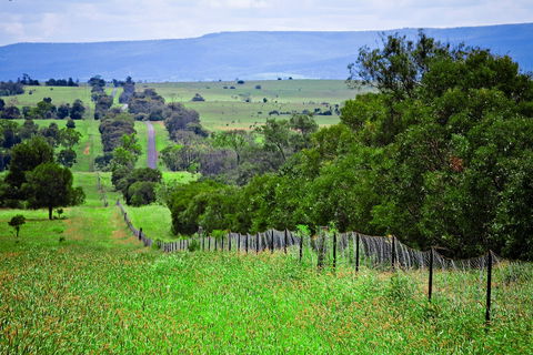 Wild Dog Barrier Fence - Accommodation Perth 0