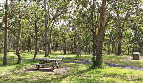 Wollomombi Gorge And Falls Picnic Area - Perth Resorts 0