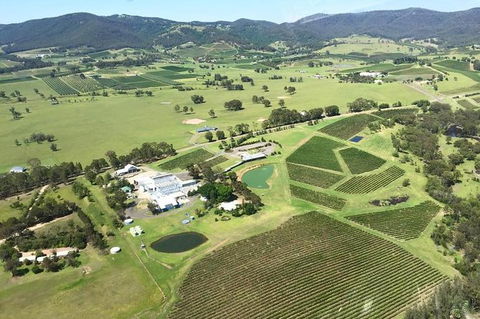 Helicopter Tour Of Hunter Valley In New South Wales With Lunch - Accommodation Perth 0