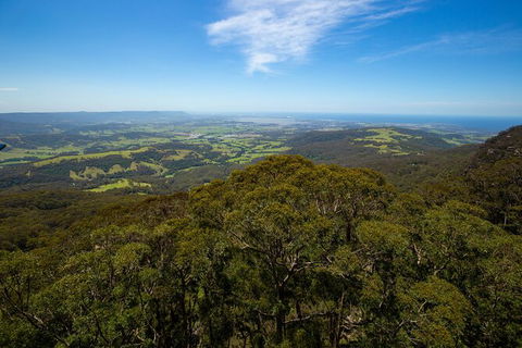 Illawarra Fly Treetop Adventures Treetop Walk Admission Ticket - Accommodation Perth 6