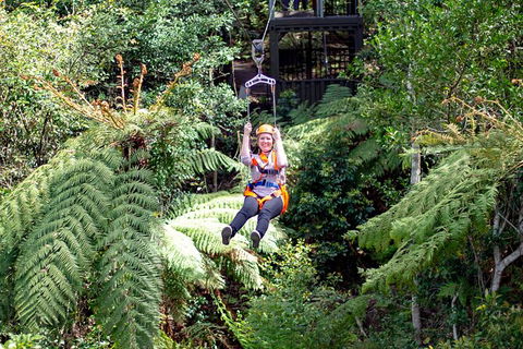 Illawarra Fly Treetop Adventures Treetop Walk Admission Ticket - Accommodation Perth 2