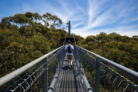 Illawarra Fly Treetop Adventures Treetop Walk Admission Ticket - Accommodation Perth 0