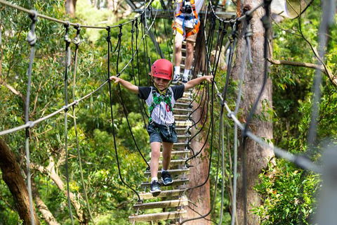 Illawarra Fly Treetop Adventures Treetop Walk Admission Ticket - Accommodation Perth 3