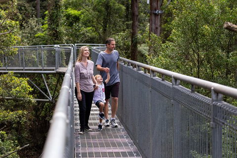 Illawarra Fly Treetop Adventures Treetop Walk Admission Ticket - Accommodation Perth 1